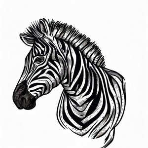 Cute Zebra Women T-Shirt