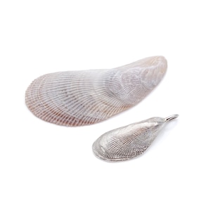 Mussel Shell Necklace | handmade seashell pendant charm | sterling silver 925 | marine jewelry