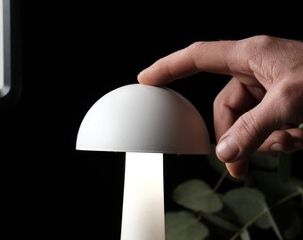 Desk Lamp, What are the colors of love? Soft, glowing lighting placed around your home can change the entire mood. Valentine&#39;s Day Gifts