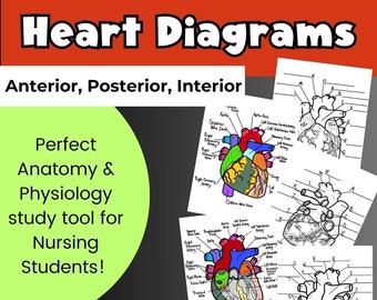 May include: Three printable heart diagrams for nursing students. The diagrams show the anterior, posterior, and interior views of the heart. The diagrams are labeled with the names of the different parts of the heart.