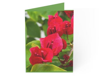 Red Bougainvillea Flower Greeting Card, Tropical Floral Design