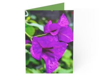 Purple Bougainvillea Greeting Cards Set, Floral Blank Note, Bulk Pack