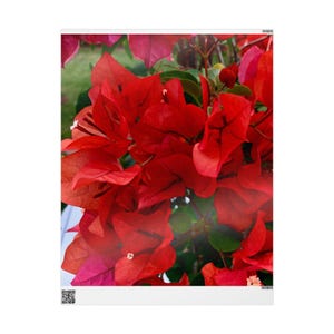 Carta da regalo, carta da regalo per le feste con fiori rossi, carta da regalo floreale lucida per gli amanti dei fiori, giardinieri, carta da regalo unica