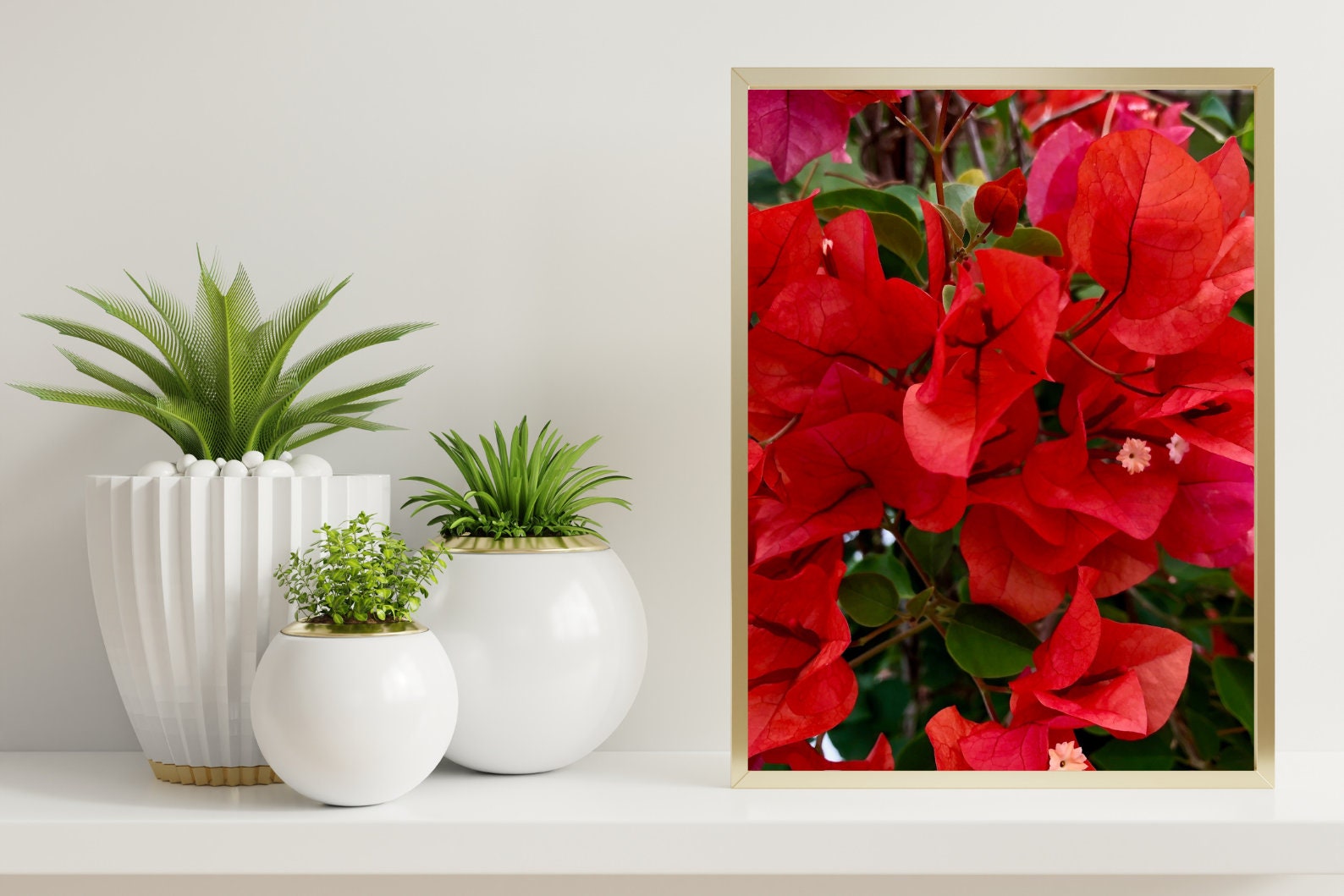 Red Bougainvillea Flower Photo Digital Download Flower Wall Art Red