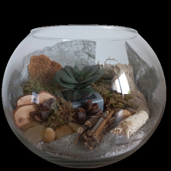 Terrarium  plante artificielle