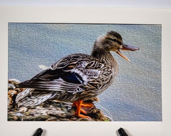 Quacking Duck Theme Photo Note Cards, Set of 2 with Envelopes, Blank Inside