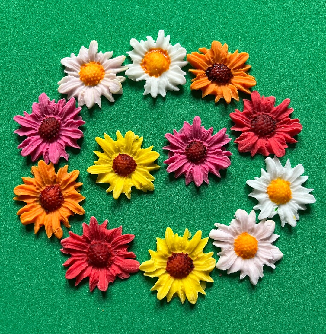 12 Pack Edible Flower Toppers Etsy