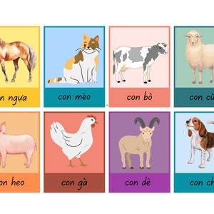 Flashcards para crianças vietnamitas - rotina, emoções, clima, animais, frutas e transporte
