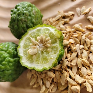 May include: Two whole green kaffir lime fruits and one halved kaffir lime fruit with seeds visible. The fruit is surrounded by a pile of dried kaffir lime seeds.