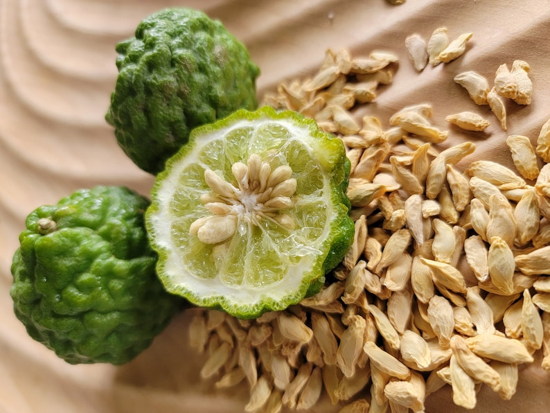 K&ouml;nnte beinhalten: Zwei ganze gr&uuml;ne Kaffir-Limettenfr&uuml;chte und eine halbierte Kaffir-Limette mit sichtbaren Kernen. Die Fr&uuml;chte sind von einem Haufen getrockneter Kaffir-Limettensamen umgeben.