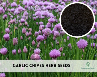 Chives, Garlic | 250 Seeds | Medicinal, Culinary & Decorative Herb