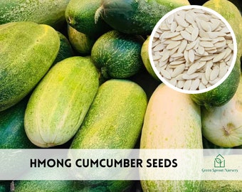 50+ Hmong Cucumber 'Dib Hmoob' Seeds Heirloom Non-GMO