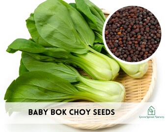 Bok Choy, Pak Choi Seeds, Heirloom Non-GMO (2000+ Seeds)