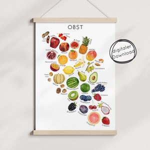 Póster de frutas para niños en formato PDF: aprenda a alimentarse de forma saludable, póster de aprendizaje Montessori, descarga digital, imprimible, tamaño A4, A3, A2, alimentación