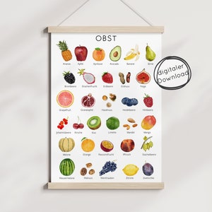 Póster de frutas para niños en formato PDF: aprenda a alimentarse de forma saludable, póster de aprendizaje Montessori, descarga digital, imprimible, tamaño A4, A3, A2, alimentación