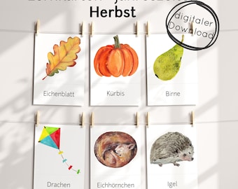 Autumn learning cards PDF for children – picture cards seasons with pictures learning, teaching material Montessori daycare school home preschool