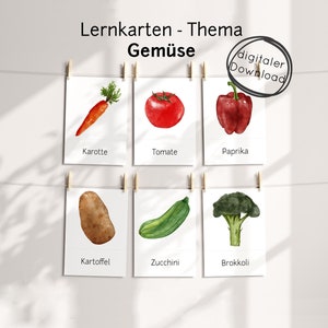 Gemüse Lernkarten PDF für Kinder – Bilderkarte Nahrungsmittel Essen zum Lernen, Lehrmaterial Montessori Kita Schule Zuhause Vorschule