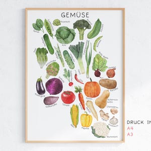 Pode incluir: Uma impress&atilde;o emoldurada com uma ilustra&ccedil;&atilde;o em aquarela de v&aacute;rios vegetais, cada um rotulado com seu nome alem&atilde;o. Os vegetais incluem espinafre, abobrinha, br&oacute;colis, berinjela, tomate e muito mais. A palavra "GEM&Uuml;SE" est&aacute; no topo.