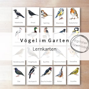 Vögel Lernkarten Vogel Kinder PDF – Vögel Tiere lernen, Montessori Lernspielzeug, digitaler download druckbar, Vögel im Garten