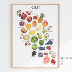 Pode incluir: Uma impress&atilde;o emoldurada com uma ilustra&ccedil;&atilde;o em aquarela de v&aacute;rias frutas, como ma&ccedil;&atilde;s, laranjas e bagas, com r&oacute;tulos em alem&atilde;o. A palavra "OBST" est&aacute; no topo. A impress&atilde;o tamb&eacute;m inclui o texto "DRUCK IN A4 A3".