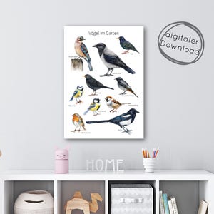 Pode incluir: Uma impress&atilde;o em aquarela com v&aacute;rias aves de jardim, incluindo um corvo, um estorninho e um pisco-de-peito-ruivo. A obra de arte apresenta ilustra&ccedil;&otilde;es detalhadas de cada esp&eacute;cie de ave, com seus nomes rotulados abaixo. A impress&atilde;o &eacute; rotulada como "download digital".