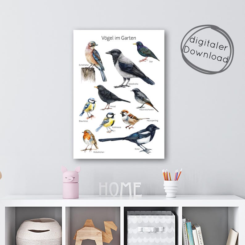 Pode incluir: Uma impress&atilde;o em aquarela com v&aacute;rias aves de jardim, incluindo um corvo, um estorninho e um pisco-de-peito-ruivo. A obra de arte apresenta ilustra&ccedil;&otilde;es detalhadas de cada esp&eacute;cie de ave, com seus nomes rotulados abaixo. A impress&atilde;o &eacute; rotulada como "download digital".