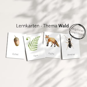 Wald Lernkarten PDF für Kinder – Bilderkarten mit Tieren Pflanzen im Wald zum Lernen, Lehrmaterial Montessori Kita Schule Zuhause Vorschule