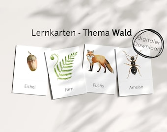 Forest learning cards PDF for children – picture cards with animals plants in the forest for learning, teaching material Montessori daycare school home preschool