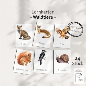 Könnte beinhalten: Set mit sechs Lernkarten mit Aquarellillustrationen von Waldtieren, darunter ein Fuchs, ein Wiesel, eine Eule, ein Eichhörnchen, ein Buntspecht und eine Schnecke. Jede Karte trägt den Namen des Tieres auf Deutsch. Das Set enthält 24 Karten.
