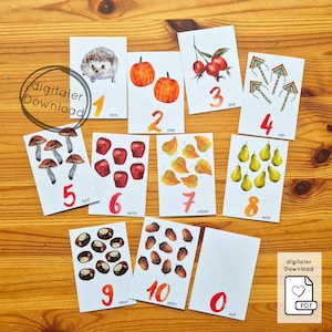 May include: A set of illustrated number cards with autumn-themed imagery. Each card shows a number from zero to ten, accompanied by illustrations of items such as pumpkins, apples, and leaves. The cards are labelled with the German word for the number.