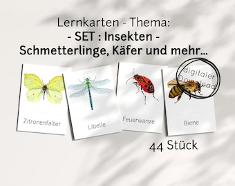 SET Learning Cards Children Insects PDF – Butterflies Beetles Spiders Snails Learn Animals, Montessori Educational Toys, Picture Cards Watercolor Child
