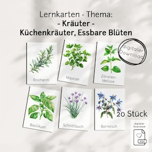 Cartes d'apprentissage sur les herbes PDF pour enfants - cartes illustrées avec plantes, jardin, cuisine pour apprendre, matériel pédagogique Montessori garderie école maison préscolaire