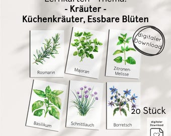 Herbs Learning Cards PDF for Children – Picture Cards with Plants, Garden, Kitchen for Learning, Teaching Material for Montessori Kindergarten, School, Home, Preschool