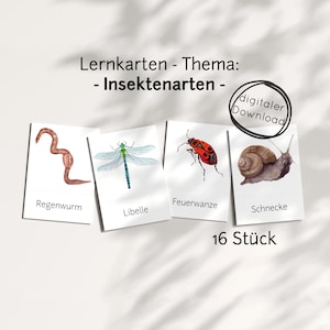 Lernkarten Kinder Insekten PDF – Insektenarten Tiere lernen, Montessori Lernspielzeug, digitaler download druckbar, Bildkarten Aquarell Kind