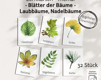 Tree species leaves learning cards PDF for children – picture cards with plants forest learning, teaching material Montessori daycare school home preschool