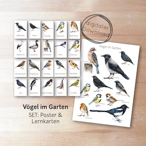 セット: 鳥のフラッシュカードとポスター 鳥の子供 PDF – 鳥が動物を学ぶ、モンテッソーリ学習おもちゃ、デジタルダウンロード印刷可能、庭の鳥