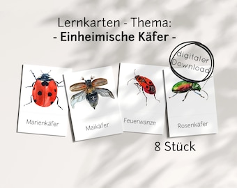 Learning cards for children beetles PDF – insect species and animals, Montessori educational toys, digital download printable, picture cards watercolor child