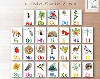 May include: Educational flashcards featuring the alphabet, with each letter paired with a nature-themed illustration. The cards display images of plants and animals, with the text "Lernkarten ABC mit Natur: Pflanzen & Tiere" at the top.