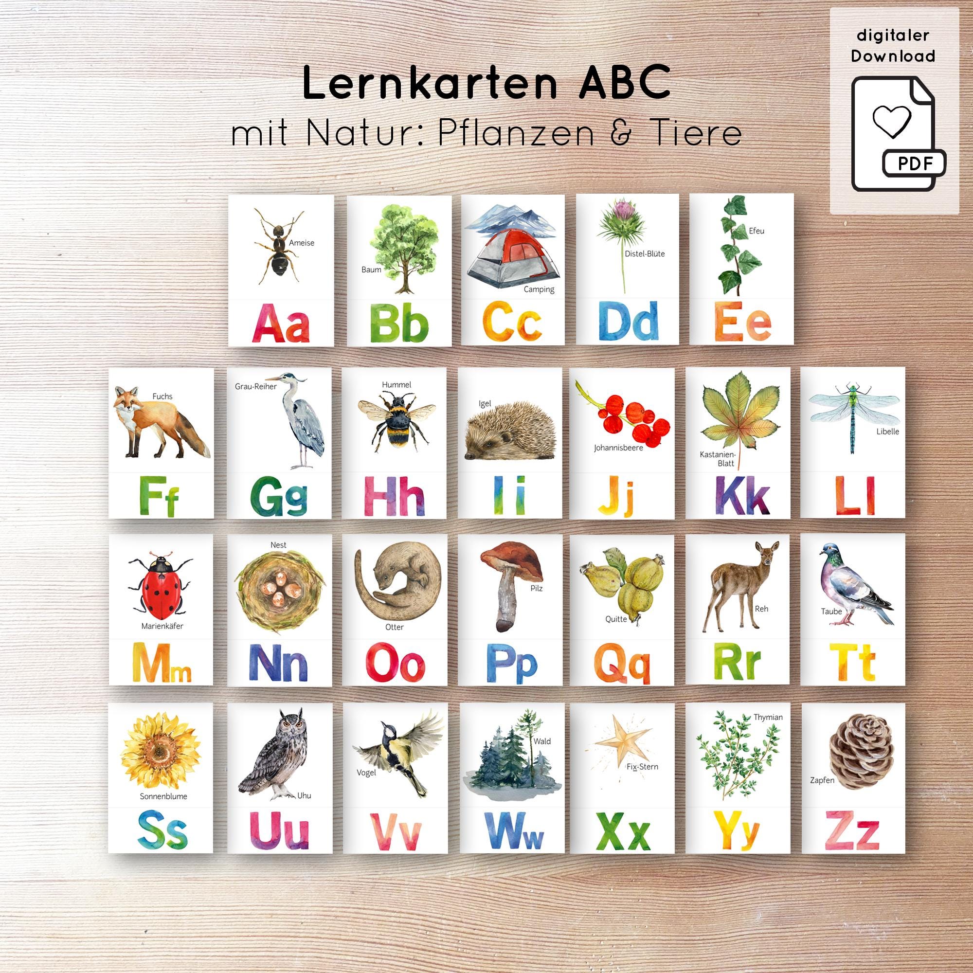 PDF Learning Cards ABC Children's Cards With Nature  Learn Capital  Letters, Waldorf Montessori Learning Toy, Digital Download Template  Printable - Etsy