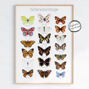 Pode incluir: Uma impress&atilde;o emoldurada com ilustra&ccedil;&otilde;es de borboletas em aquarela. As borboletas s&atilde;o de v&aacute;rias cores e padr&otilde;es, com etiquetas em alem&atilde;o. A impress&atilde;o inclui o texto "Schmetterlinge" no topo e um selo "digitaler Download".