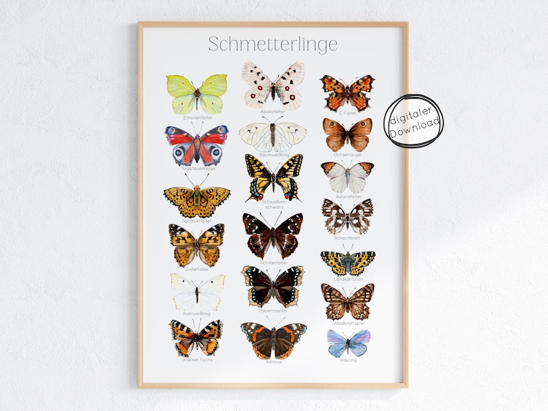 Pode incluir: Uma impress&atilde;o emoldurada com ilustra&ccedil;&otilde;es de borboletas em aquarela. As borboletas s&atilde;o de v&aacute;rias cores e padr&otilde;es, com etiquetas em alem&atilde;o. A impress&atilde;o inclui o texto "Schmetterlinge" no topo e um selo "digitaler Download".