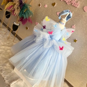 Cinderella Costume, Girl Party Dress, Halloween Costume, Cinderella Dress Toddler, Princess Dress, Cinderella Costume, Flower Girl Costume