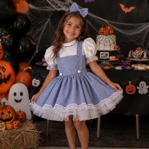 May include: A blue and white gingham pinafore dress with a white puff-sleeve blouse underneath, featuring white lace trim at the sleeves and hem, a matching gingham hair bow, and white shoes, creating a classic storybook character costume look.