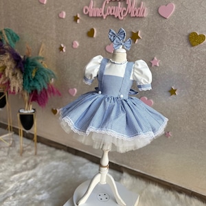Dorothy Inspired Baby Girl Dress, Dorothy Dress, 1 st Dorothy Costume, Dorothy Baby Girl Dress, Dorothy Theme dress, Halloween Costume