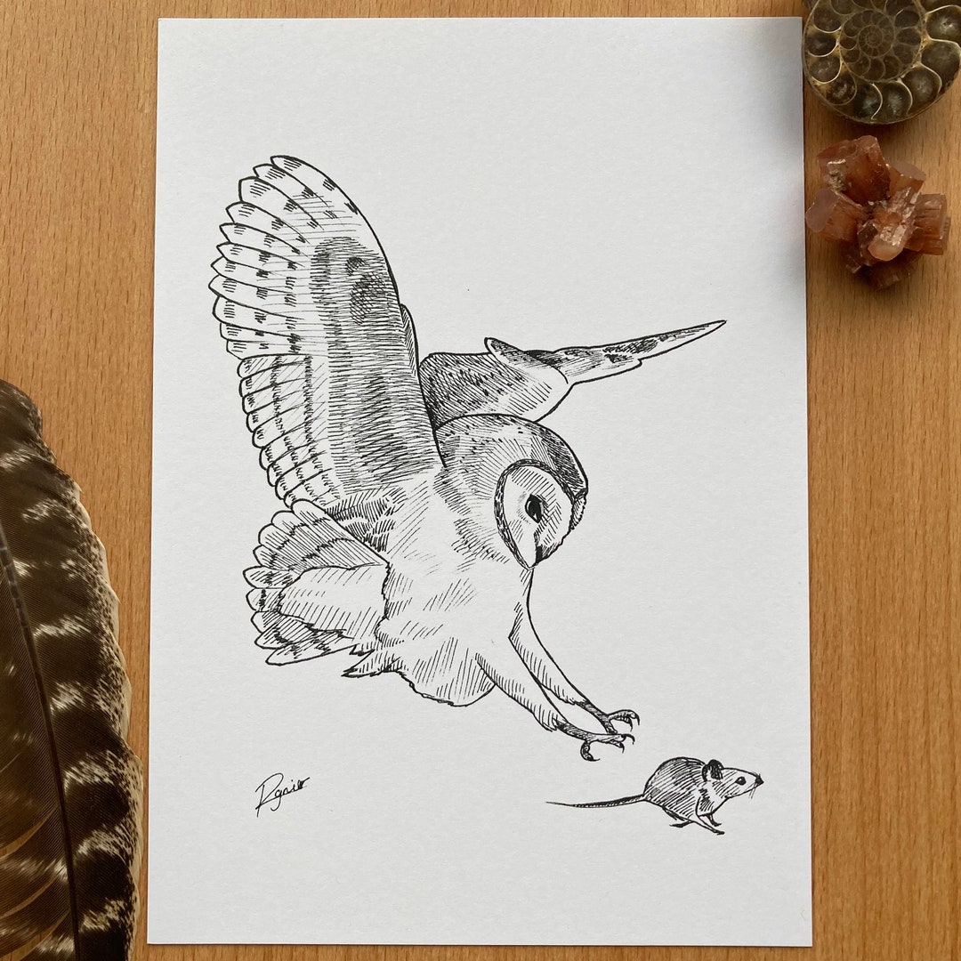 Barn Owl Hunting Ink Drawing, Ink Art, Wildlife Art, Owl Drawing, Barn ...