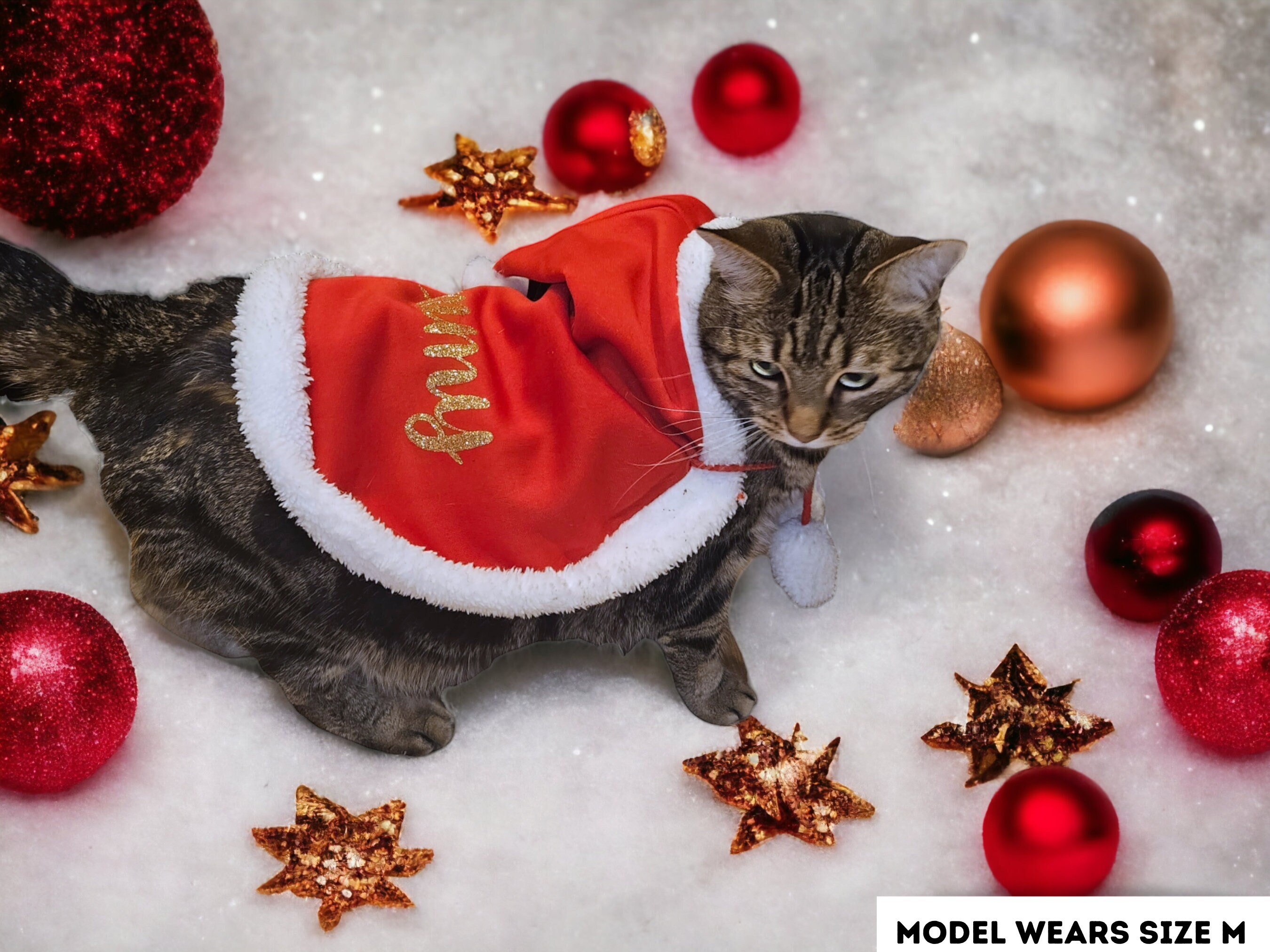 Personalised Santa Costume for Dogs,cats,pets,christmas Outfit