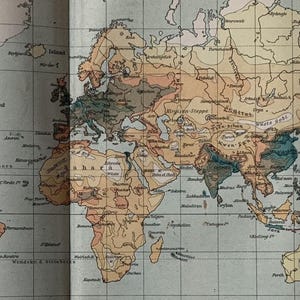 Può includere: Una mappa del mondo vintage con una griglia e regioni codificate a colori. La mappa mostra le diverse zone climatiche del mondo, tra cui il deserto del Sahara, la steppa russa e il deserto del Gobi. La mappa è etichettata in tedesco.