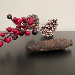 May include: A close-up of three pine cones, two are white with brown tips and one is brown. A sprig of red berries is in the background.