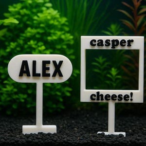 Peut inclure: Trois marqueurs de plantes blancs avec texte noir. Le premier indique "PLANT LIFE", le second "ALEX", et le troisième "casper cheese!". Les marqueurs sont devant un fond de plantes vertes et de gravier foncé.