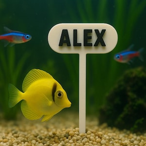 Peut inclure: Un poisson chirurgien jaune vif avec une bande noire nage dans un aquarium. Un panneau blanc avec le nom "ALEX" en lettres noires est placé au premier plan. Deux néons nagent à l'arrière-plan.